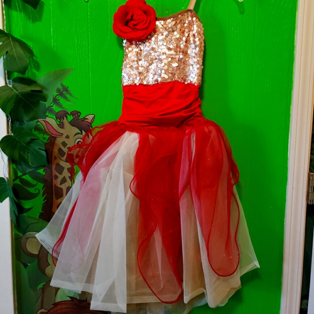 Kids/recital costume
